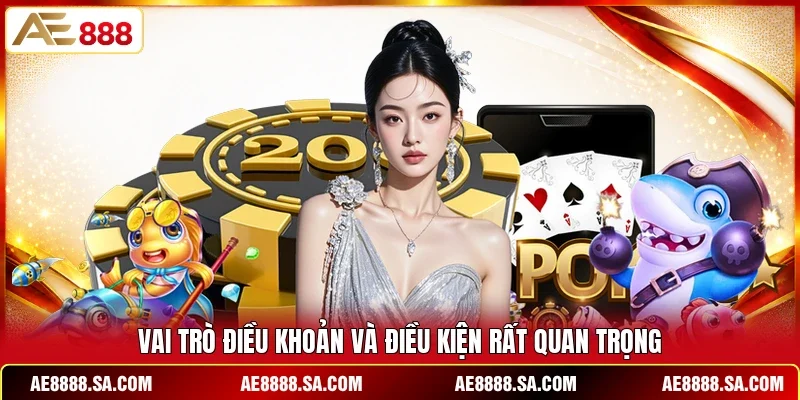 Vai trò điều khoản và điều kiện rất quan trọng